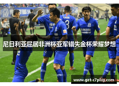 尼日利亚屈居非洲杯亚军错失金杯荣耀梦想